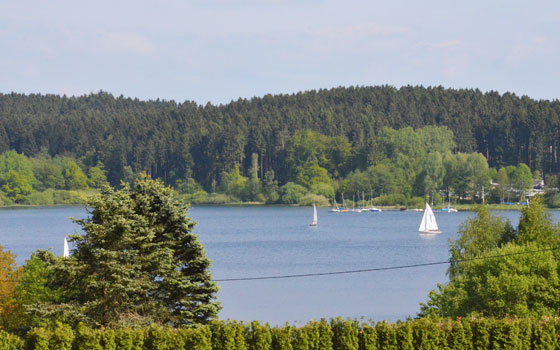 brucherblick